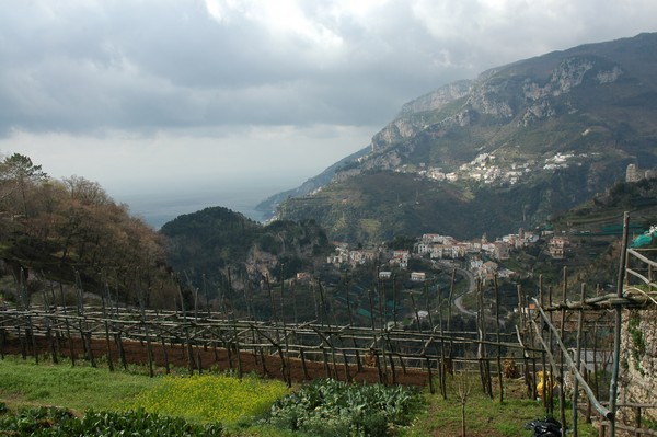 Amalfi Coast